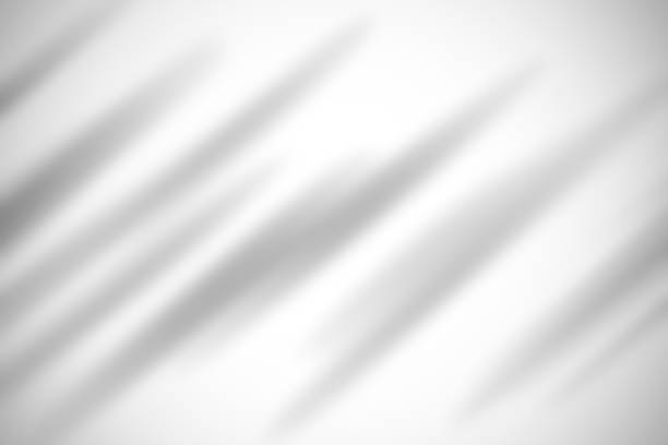 istock The white black and silver are light gray with the gradient is the Surface with templates metal texture soft lines tech gradient abstract diagonal background. 1143525742