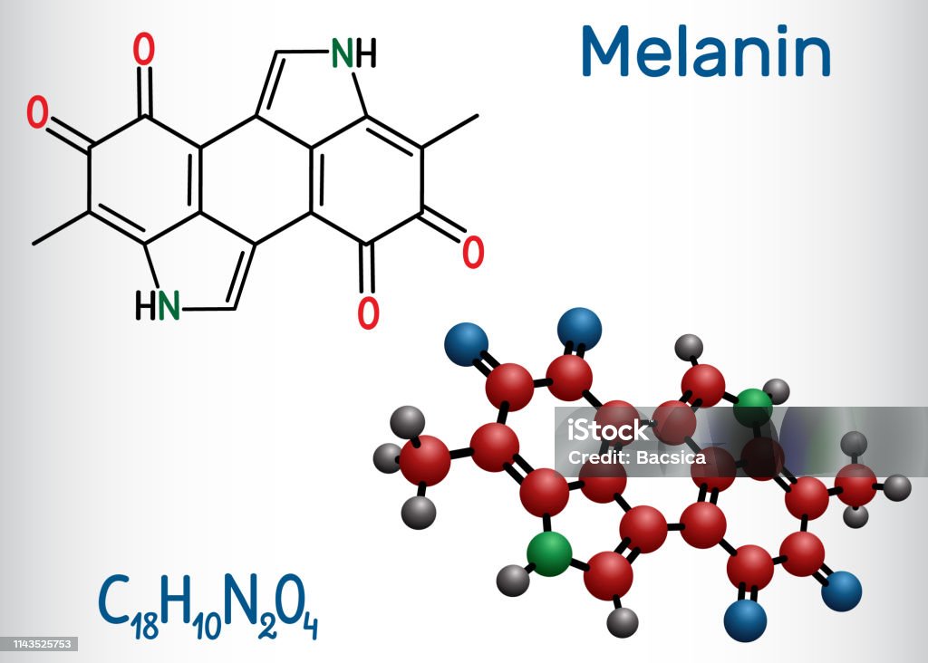 Stock ilustrace Molekula Melaninu Strukturní Chemický Vzorec A Molekulový  Model – stáhnout obrázek nyní - iStock
