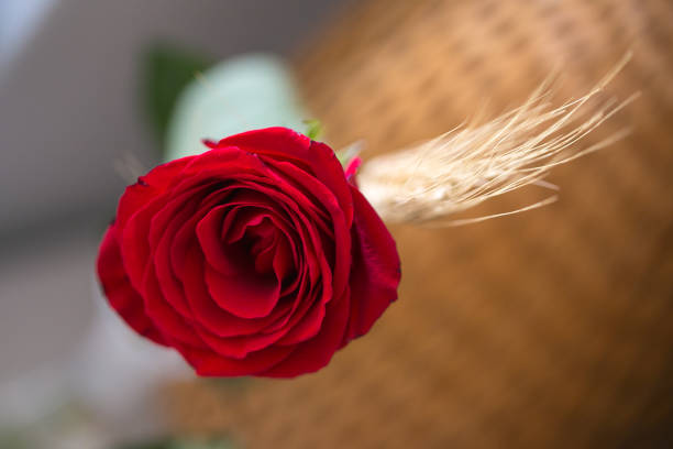istock Traditional present in Catalonia 1143526410