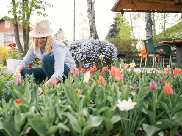 istock Woman planting flowers 1143526418