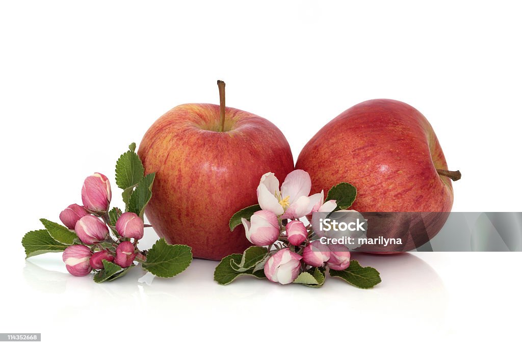 Apple Fruit with Blossom  Royal Gala Apple Stock Photo