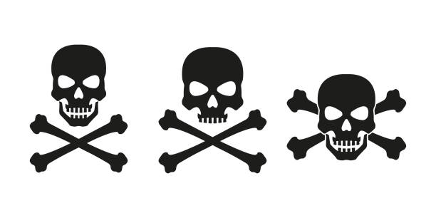 schädel mit gekreuzten knochen icon gesetzt. tod, pirat und gefahrensymbol. skelettkopf. vector illustration. - toxic substance illustrations stock-grafiken, -clipart, -cartoons und -symbole