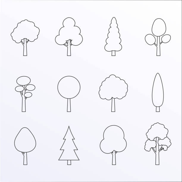 ilustrações, clipart, desenhos animados e ícones de jogo do ícone do esboço da árvore. plantas com silhuetas das folhas. símbolo da floresta e do jardim. ilustração do vetor. - 6139