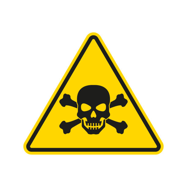 두개골과 뼈가 있는 위험 또는 경고 표시. 독성 및 화학적 독 기호. 삼각형 위험 아이콘입니다. 벡터 일러스트입니다. - the death zone stock illustrations