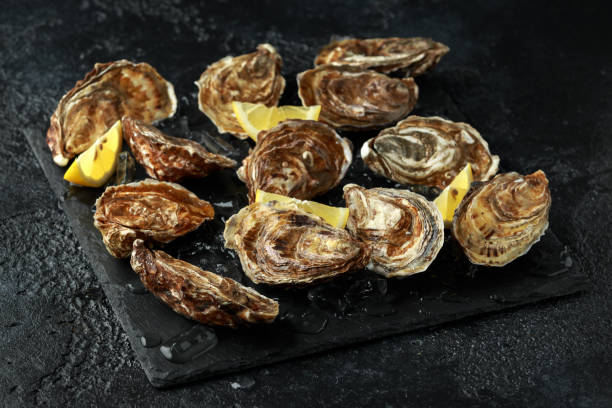 istock Fresh Oysters platter with lemon and ice. ready to open and eat 1143529104