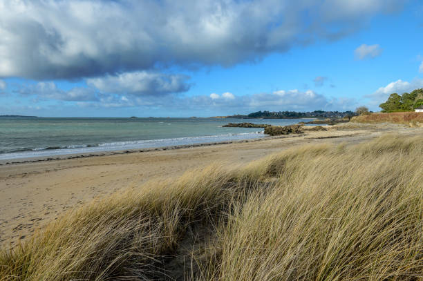 istock Seaside landscape in Brittany 1143529200