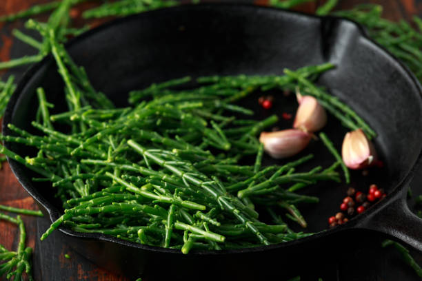 Fresh green samphire in cast iron skillet Fresh green samphire in cast iron skillet. salicornia europaea stock pictures, royalty-free photos & images