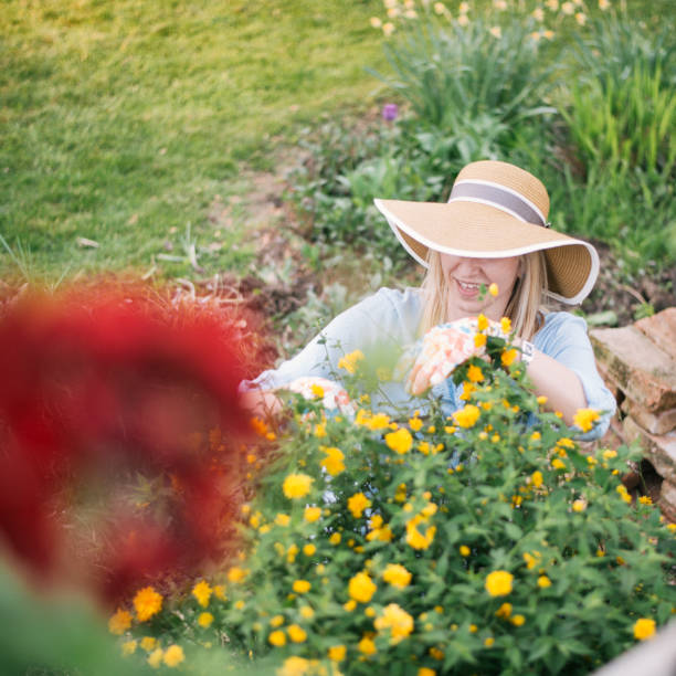 istock Woman planting flowers 1143530139