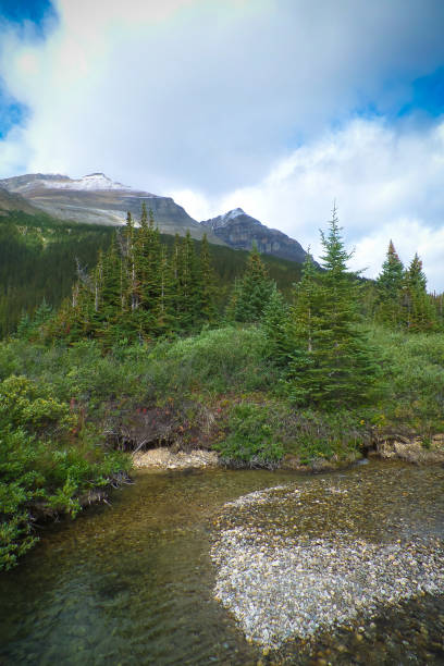 istock Canadian Rockies 1143531115