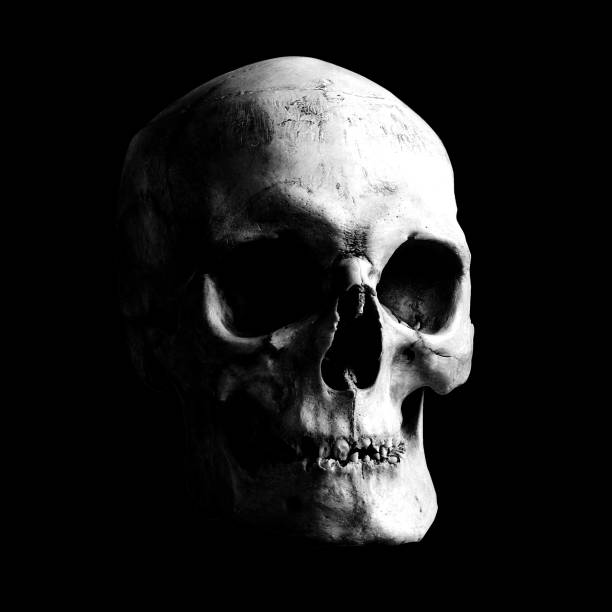 istock Contrast light-shadow image of a human skull on a black background. 1143531552