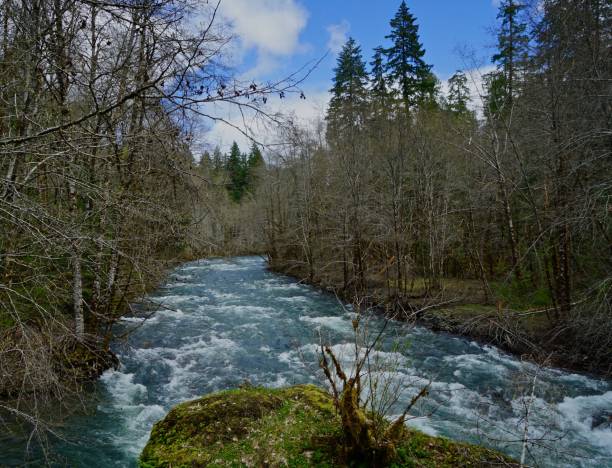 istock Oregon's Salmon Creek 1143532468