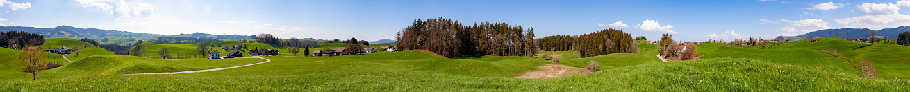 The panorama is a composition of 36 photos, 12 HDR photos from 3 photos each. This glaciermade landscape is about 300m over the level of lake of Zurich. The Linth glacier formed this hills, drumlins, at the end of the last ice age about 15'000 years ago. It is an early April afternoon, springtime, the fertile meadows are dominated by dandelions. Schönenberg, Zurich Canton, Switzerland, 47°11'23.5