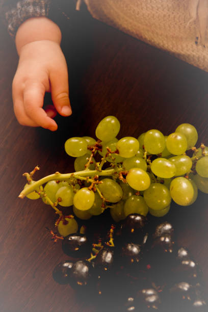 istock Child's hand reaching for a grape on a dark wooden table.