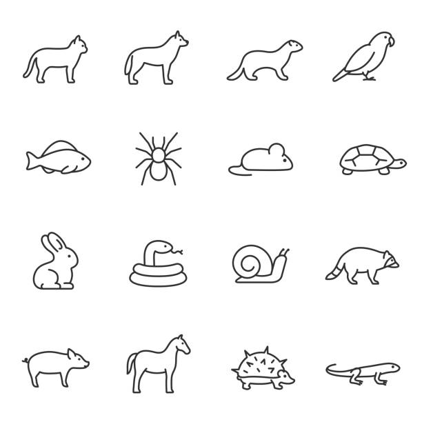 ilustrações de stock, clip art, desenhos animados e ícones de pets, icon set. home animals, linear icons. editable stroke - rabbit vector black composition