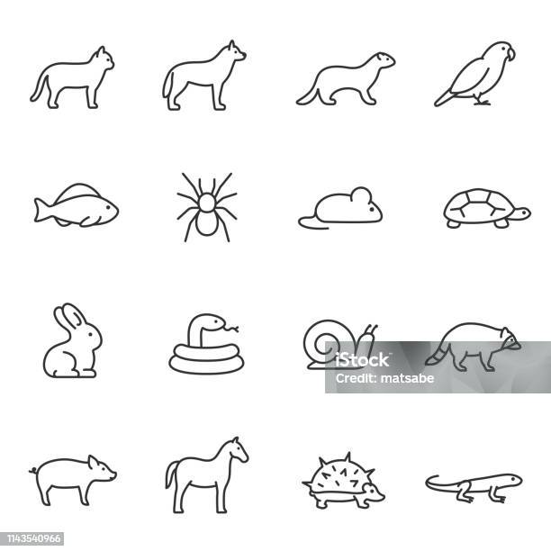 Pets Icon Set Home Animals Linear Icons Editable Stroke Stock Illustration - Download Image Now
