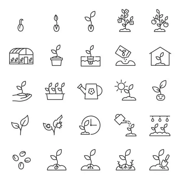 Vector illustration of Growing plants. Sprout in the ground. Farming and gardening, icon set. Sprout care, linear icons. Plant in the ground, greenhouse and hydroponic systems. Editable stroke