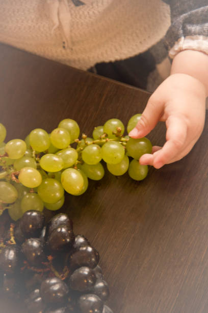 istock Child's hand reaching for a grape on a dark wooden table.