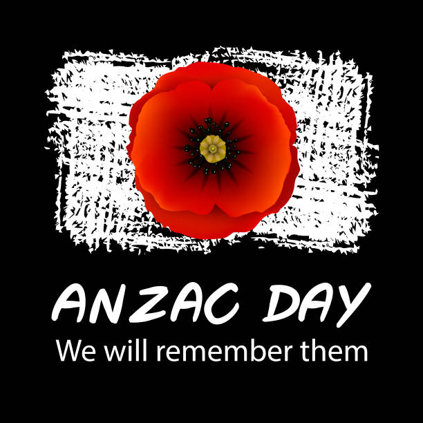 ilustraciones, imágenes clip art, dibujos animados e iconos de stock de el concepto de día de anzac - new zealand culture