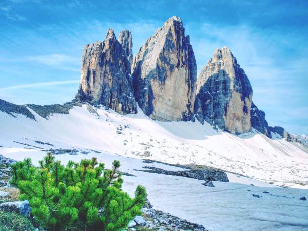 весна на тропе вокруг тре симе (три пика) ди лаваредо массивные. - melting spring snow trentino alto adige стоковые фото и изображения