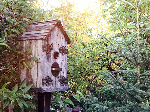 Rustic birdhouse in country garden amid fall foliage.