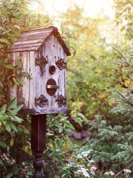 Rustic birdhouse in country garden amid fall foliage.