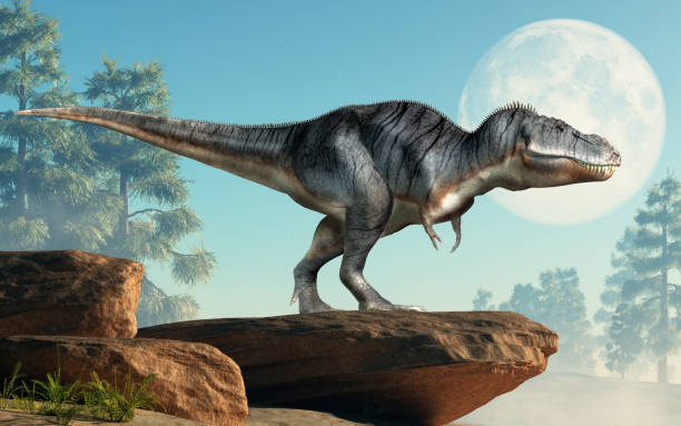 istock Tyrannosaurus Rex on a Cliff 1143549088