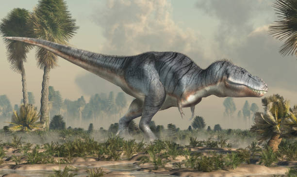 istock Tyrannosaurus Rex in a Wetland 1143549089