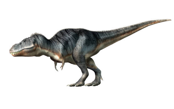istock Tyrannosaurus Rex on White Background 1143549091