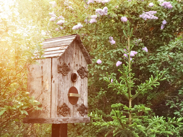istock Rustic birdhouse and blooming spring lilacs in country garden 1143550730