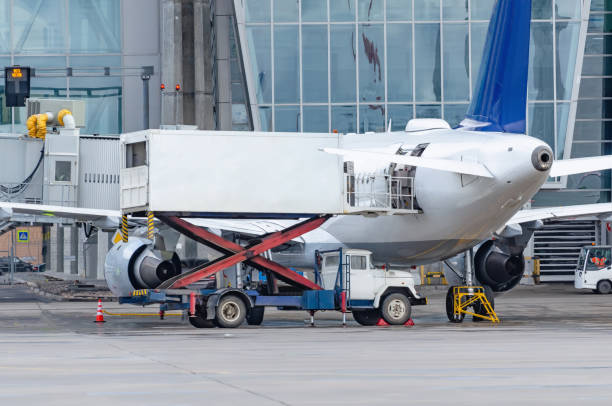 istock Loading food on the airplane for passengers at the terminal. 1143550894