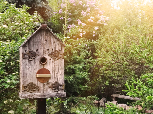 istock Rustic birdhouse and blooming spring lilacs in country garden 1143551079