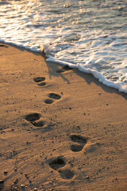 trajeto do pé à água na praia na luz do por do sol. - sunset beach flash - fotografias e filmes do acervo