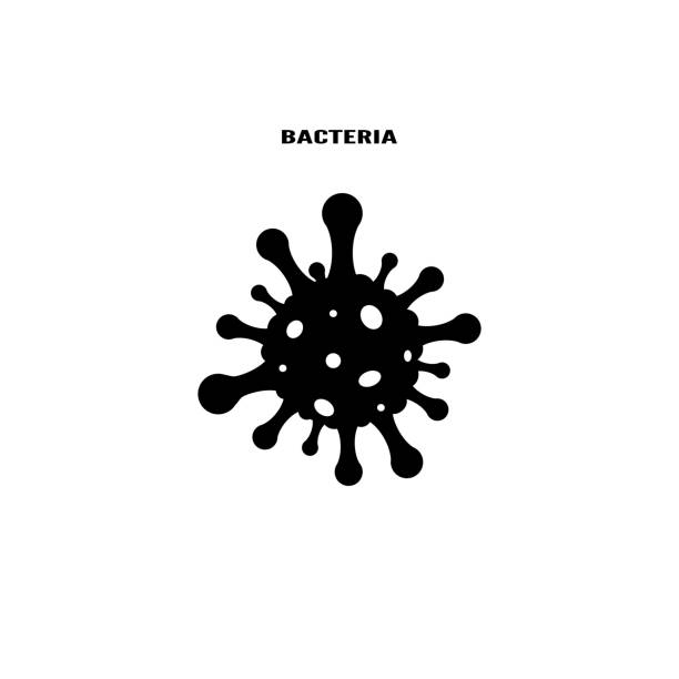 illustrations, cliparts, dessins animés et icônes de illustration d’icône de vecteur de danger de bactéries d’isolement sur le fond blanc - virus human immune system bacterium flu virus