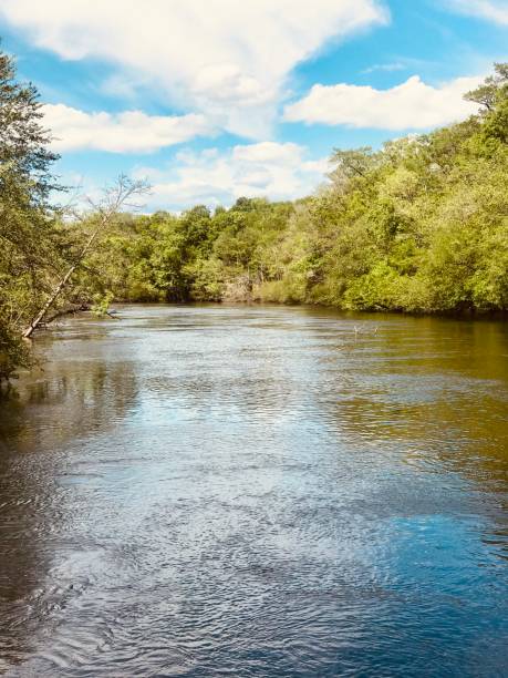 little pee dee - pee dee river imagens e fotografias de stock