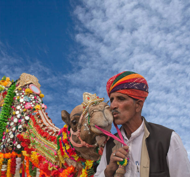 Camel festival in Bikaner, Rajasthan, India Bikaner, India - January 13, 2019: Indian man in national clothes kisses a camel during Camel festival in Rajasthan. indian couple kiss stock pictures, royalty-free photos & images