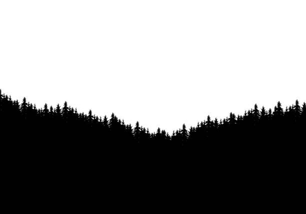 ilustrações, clipart, desenhos animados e ícones de silhueta realística de partes superiores da floresta e da árvore. isolado no fundo branco com espaço para o texto-vetor - horizon over land valley hill tree