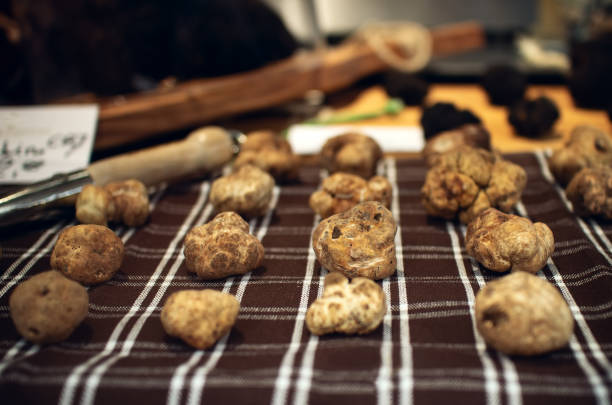 White Truffles (Tuber Magnatum Pico) on a trader stall White Truffles (Tuber Magnatum Pico) on a trader stall, Piedmont (Italy) fiera stock pictures, royalty-free photos & images