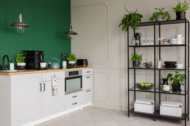 istock Elegant grey and green kitchen interior with urban jungle 1143558704