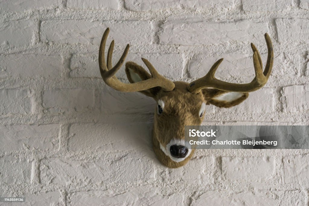 Artificial Male Deer Head With Antlers Hanging On A White Brick Wall Stock  Photo - Download Image Now - iStock