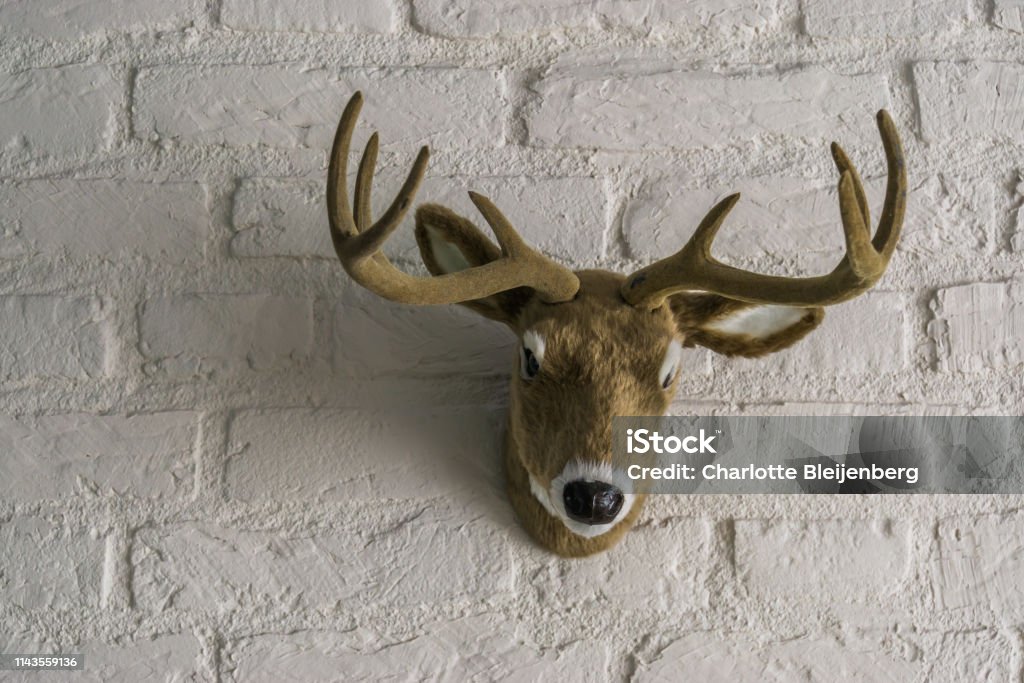 Artificial Male Deer Head With Antlers Hanging On A White Brick Wall Stock Photo - Download Image Now - iStock Artificial Male Deer Head With Antlers Hanging On A White Brick Wall Stock Photo - Download Image Now - iStock