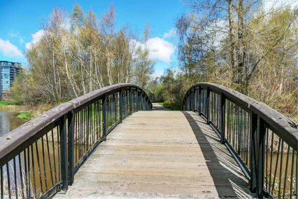 istock wooden bridge in a park in spring 1143561307