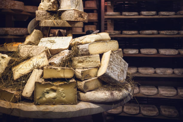 italian toma (hard cheese) seasoning in a cold cellar - milk european alps agriculture mountain imagens e fotografias de stock