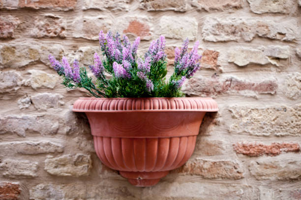 istock Flower pot with lavender plant on antique brick wall. 1143561508