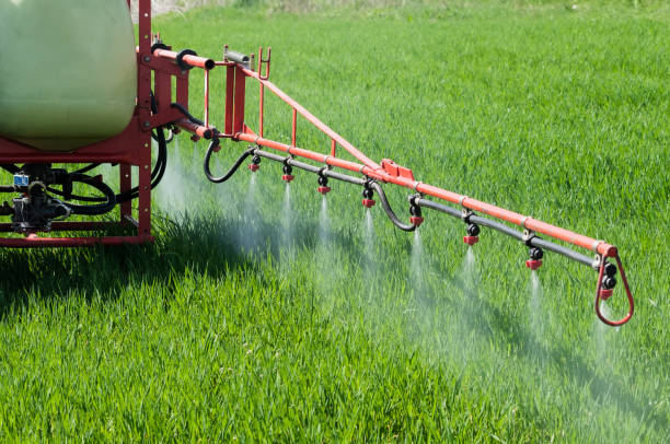 Tractor spraying herbicide over wheat field with sprayer stock photo