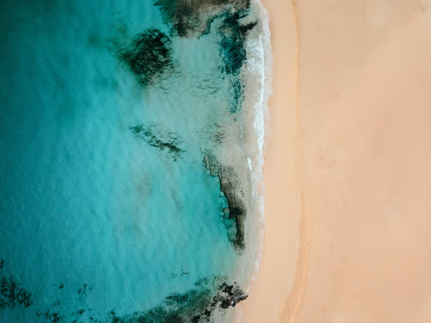 istock Aerial view of an empty tropical beach 1143565482