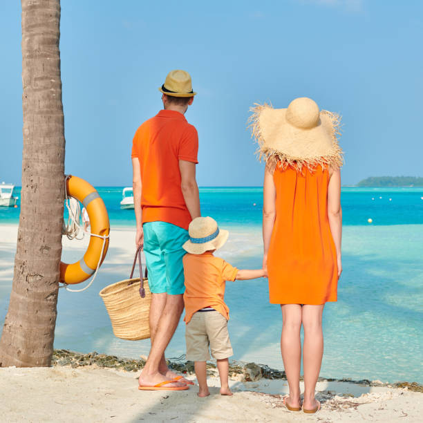 istock Family of three on beach under palm tree 1143565584