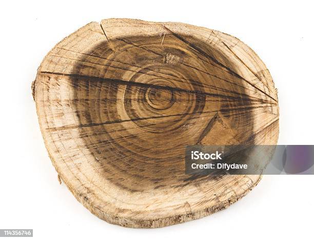 슬라이스 메트로폴리스 금사슬나무 로그 표시중 동심성 성장 환상체 목재-재료에 대한 스톡 사진 및 기타 이미지 - 목재-재료, 부분의, 슬라이스
