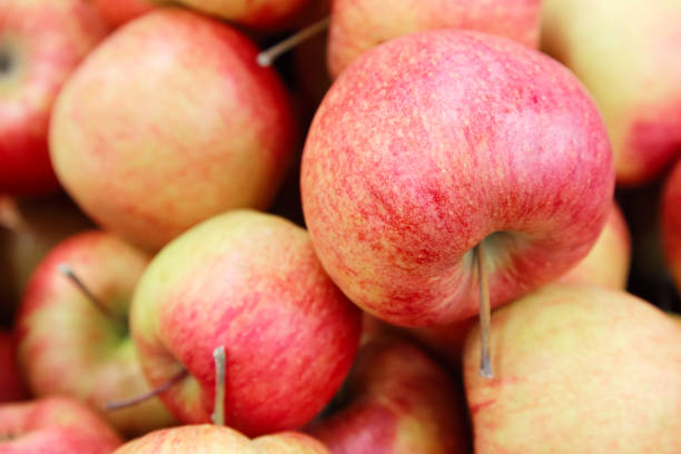 Red yellow fresh apples group of apples background