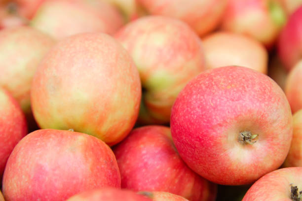 istock Red yellow fresh apples group of apples background 1143567486