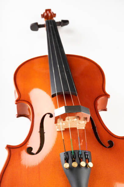 istock Violin and bow on a light background. A new stringed musical instrument. White background 1143567557